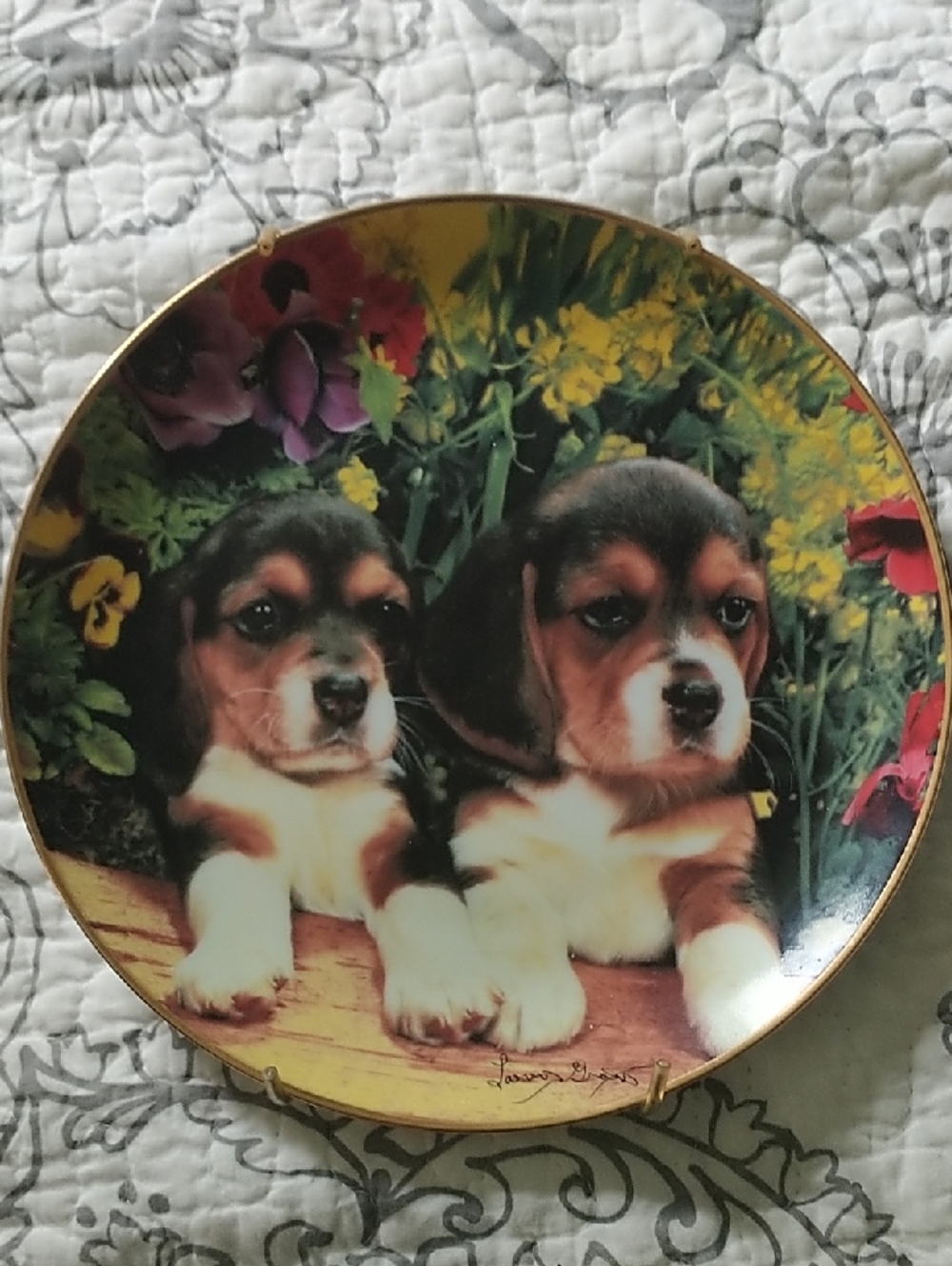 Decorative Puppy Collector Plate with Floral Scene